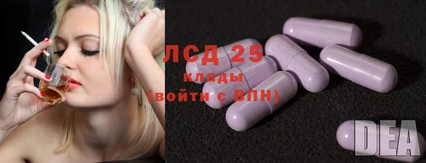 сатива Куйбышев