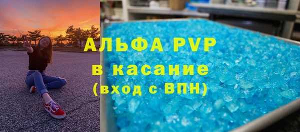 сатива Куйбышев