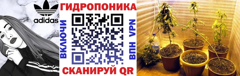 купить   Новохопёрск  Каннабис AK-47 